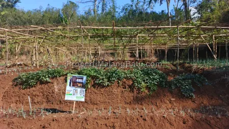 Tanah Kavling Siap Bangun di Gading View Dau (Kav. 3)